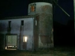 2026-07-25 - bois-de-cene (10)